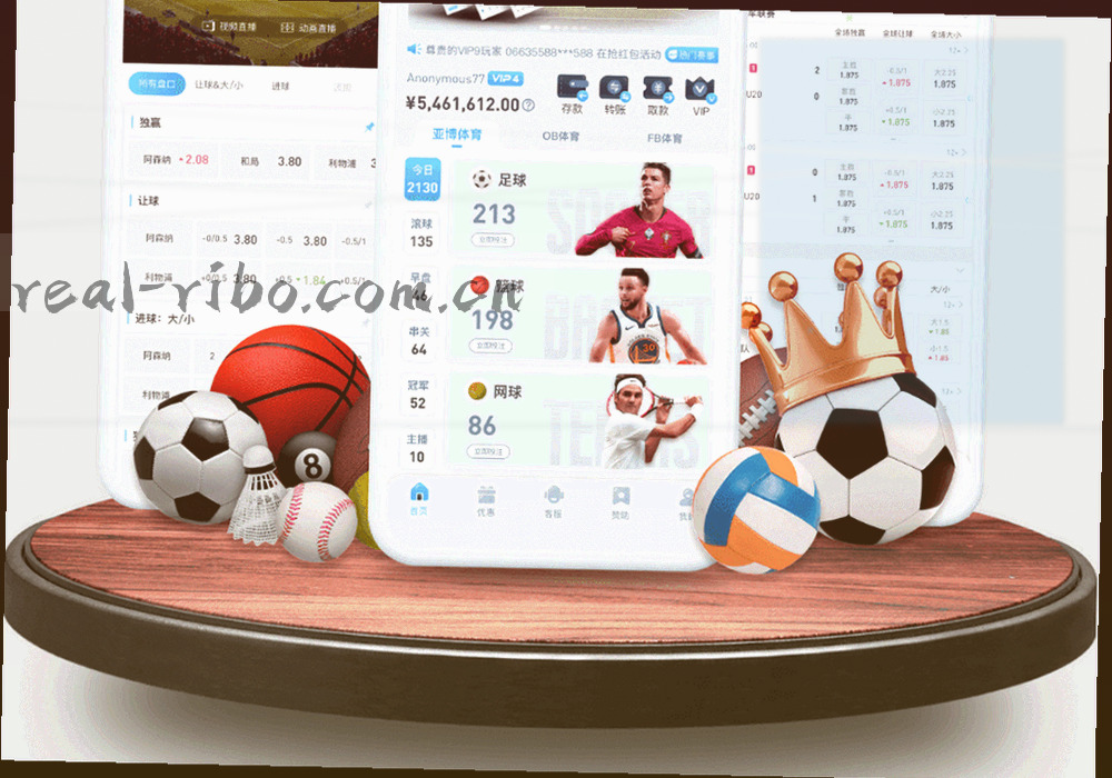导航栏目页、入口确认工具、客服通道与记录时间轴之间的抽象关系连线图